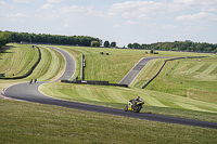 Lower Group Yellow Bikes